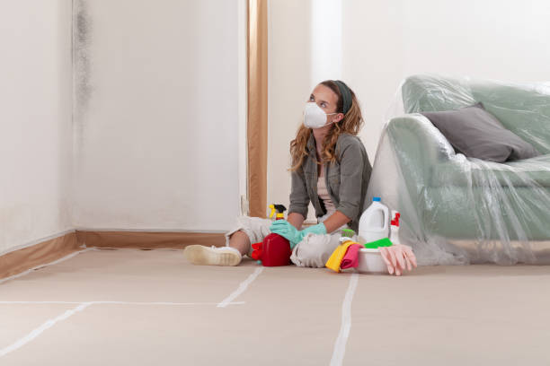 Reliable Mold Cleanup contractor in Henrico, NC by Cheap Mold Removal